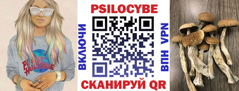 Псилоцибиновые грибы прущие грибы  купить  цена  Иркутск 